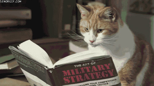 cat reads
