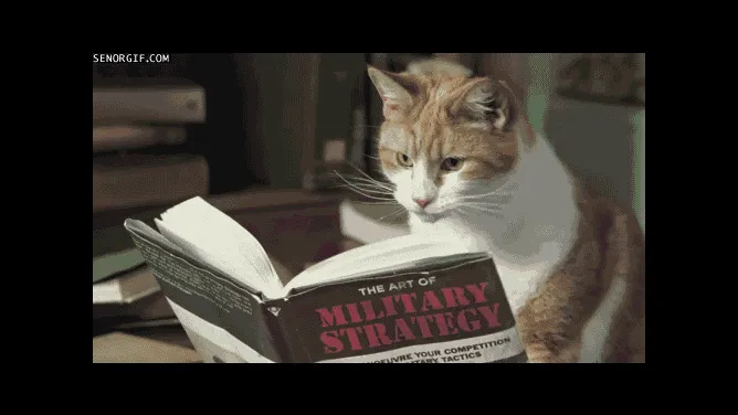cat reads